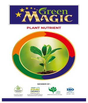 GREEN MAGIC