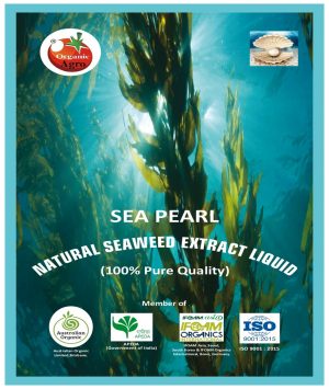 SEA  PEARL  LIQUID