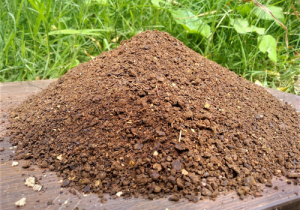 Neem Cake Fertilizer